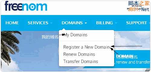 Freenom免费域名.TK、.CF、.ML、.GA注册及使用方法