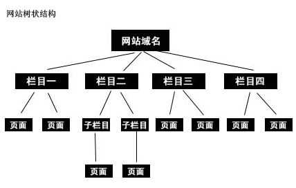 老司机站长告诉你网站结构该怎么去优化